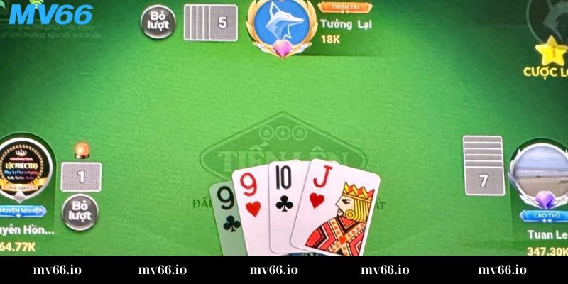 Hỗ trợ hầu hết các hệ điều hành phổ biến hiện nay